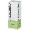 Image de Pranarôm Huile Essentielle Encens