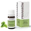Image de Pranarôm Mélisse officinale Huile essentielle