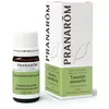 Image de Pranarom Tanacetum Annuum
