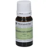 Image de Pranarom Huile essentielle Cajeput Bio 100 % pure et naturelle