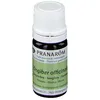 Image de Pranarôm Huile Essentielle Gingembre Bio
