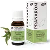Image de Pranarôm Eucalyptus Globuleux Huile Essentielle Bio