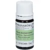 Image de Pranarom Rosier de Damas Huile Essentielle Bio
