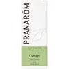 Image de Pranarôm Huile Essentielle Carotte