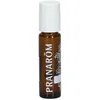 Image de Pranarôm Roller bille métal 10 ml