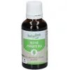 Image de Herbalgem - Aulne Bio - Complément Alimentaire - Extrait De Bourgeon Frais - Pour Défenses Naturelles & Circulation - - 30 ml