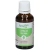 Image de HerbalGem Ginkgo Biloba Bio