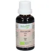 Image de HerbalGem Celluligem