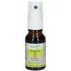 Image de Herbalgem - Bouleau Bio - Complément Alimentaire - Extrait De Bourgeon Frais - Pour Drainage, Détox & Minceur - - 30 ml