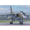 Image de Maquette avion : Jaguar E