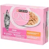 Image de Purina ONE Junior Saumon, Poulet & Carottes