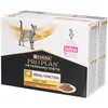 Image de Purina Pro Plan Veterinary Diets Feline NF Renal Function Early care CiG Chicken