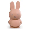 Image de Atelier Pierre Tirelire Miffy Warm - Poudre