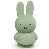 Image de Atelier Pierre Tirelire Miffy Warm - Eucalyptus