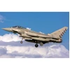 Image de Maquette avion : EF-2000 Typhoon Monoplace