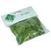Image de ModÃ©lisme : MatÃ©riel de flocage : Mousse vert clair