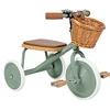 Image de Banwood Tricycle Trike - Forest