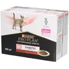Image de Purina Pro Plan Veterinary Diets Feline DM Diabetes Management CiG Beef