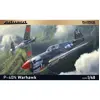 Image de Maquette avion : P-40N Warhawk - 1/48