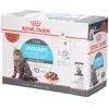 Image de Royal Canin FCN Urinary Care in Gravy Aliment humide pour chats