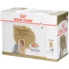 Image de Royal Canin BHN Yorkshire Terrier Émincé en Sauce