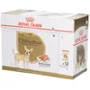 Image de Royal Canin BHN Chihuahua Aliment humide pour chiens