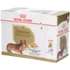 Image de Royal Canin BHN Dachshund Émincé en Sauce