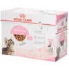 Image de Royal Canin Fhn Kitten Sterilised En Sauce