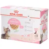Image de Royal Canin Fhn Kitten Sterilised En Gelée