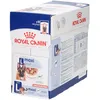 Image de Royal Canin SHN Maxi Adult Émincé en Sauce