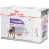 Image de Royal Canin CCN Sterilised Aliment humide pour chiens