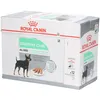 Image de Royal Canin CCN Digestive Care Aliment humide pour chiens