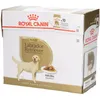Image de Royal Canin BHN Labrador Retriever Aliment humide pour chiens