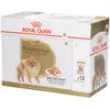 Image de Royal Canin BHN Pomeranian Aliment humide pour chiens