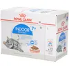 Image de Royal Canin FHN Indoor 7+ in Gravy Aliment humide pour chats