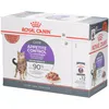 Image de Royal Canin FCN Appetite Control Care in Gravy Aliment humide pour chats