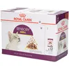 Image de Royal Canin FHN Sensory Smell en Sauce