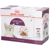 Image de Royal Canin FHN Sensory Feel en Sauce