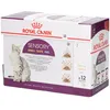 Image de Royal Canin FHN Sensory Multipack in Gravy Aliment humide pour chats