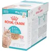 Image de Royal Canin FHN Ageing 11+ en Sauce