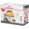 Image de Royal Canin Hair & Skin Care Gravy