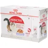 Image de Royal Canin FHN Instinctive in Jelly Aliment humide pour chats
