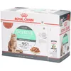Image de Royal Canin FCN Digestive Care in Gravy Aliment humide pour chats