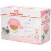 Image de Royal Canin Fhn Kitten En Gelée
