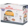 Image de Royal Canin Hair & Skin Care Jelly