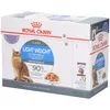 Image de Royal Canin FCN Light Weight Care in Jelly Aliment humide pour chats