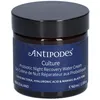 Image de Antipodes Culture GEL Creme DE Nuit Reparateur AUX Probiotiques