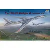 Image de Maquette avion : Tupolev Tu-16K 26 Badger