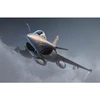 Image de Maquette Avion Militaire : Dassault Rafale C