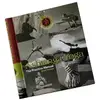 Image de Ashtanga Yoga: The Practice Manual